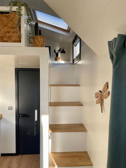 Tiny House With Sauna & Jacuzzi Near Amsterdam Vijfhuizen Exterior photo